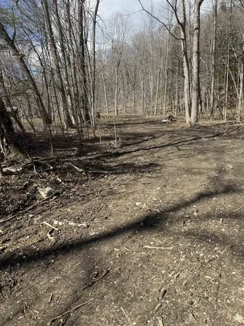 0 North Pond Road Salisbury VT 05769