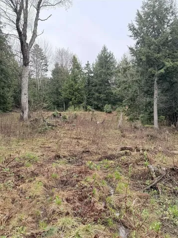 0 Jones Lane Wolcott VT 05680