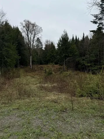 0 Jones Lane Wolcott VT 05680