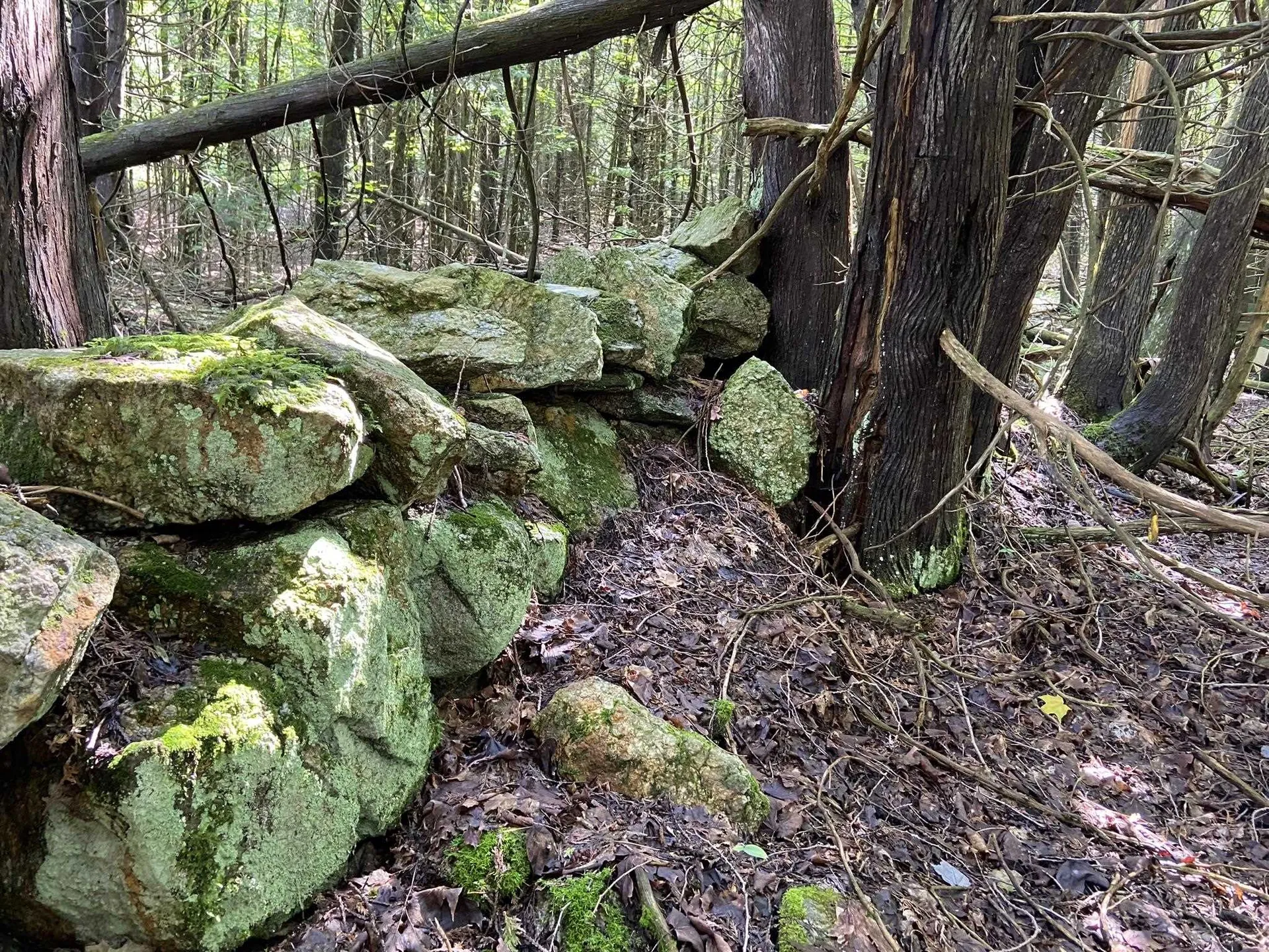 93 Rocky Road Sutton VT 05871