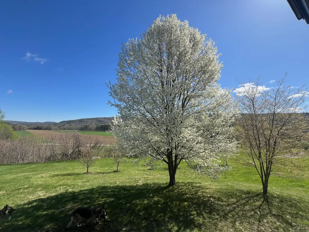 63 Winter Bell Drive Dummerston VT 05346