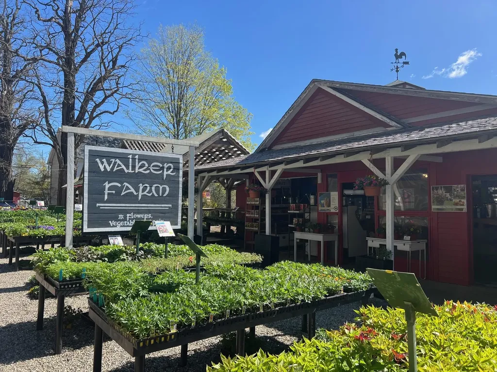 63 Winter Bell Drive Dummerston VT 05346