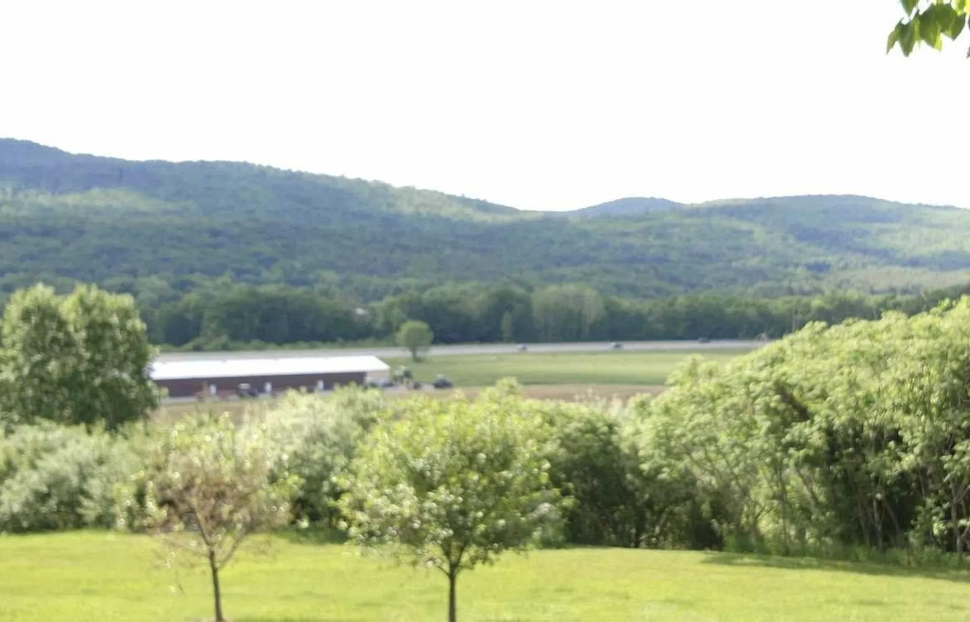 63 Winter Bell Drive Dummerston VT 05346