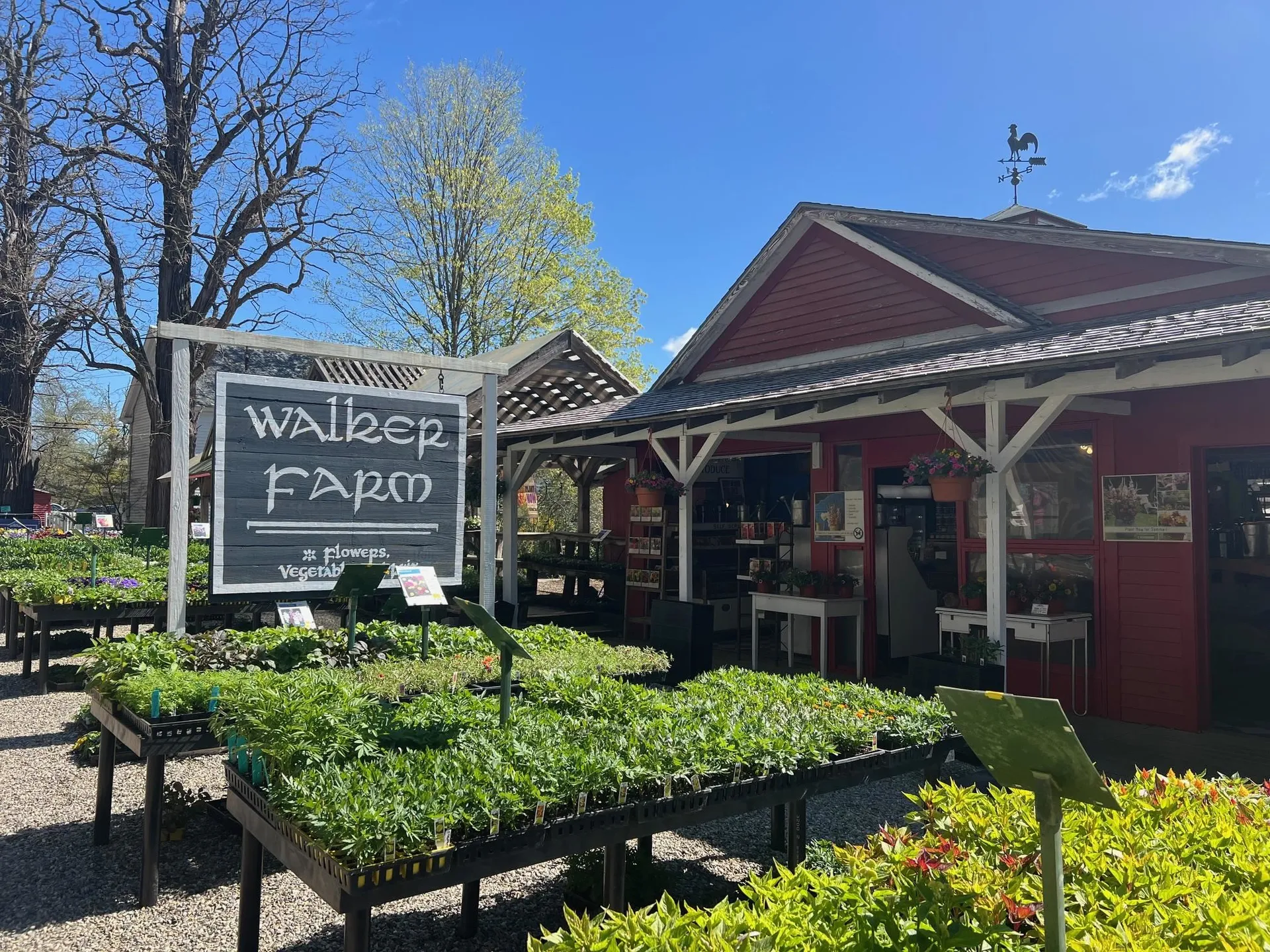 63 Winter Bell Drive Dummerston VT 05346