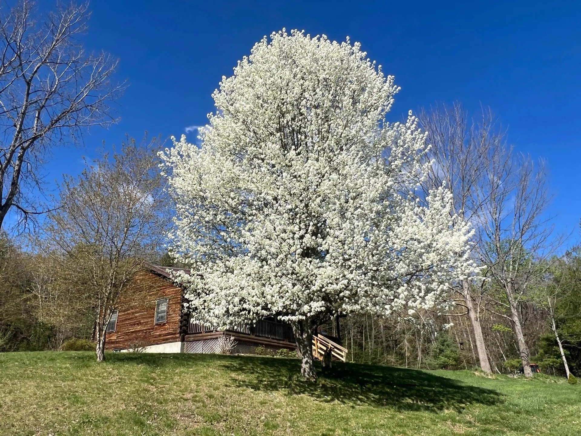 63 Winter Bell Drive Dummerston VT 05346