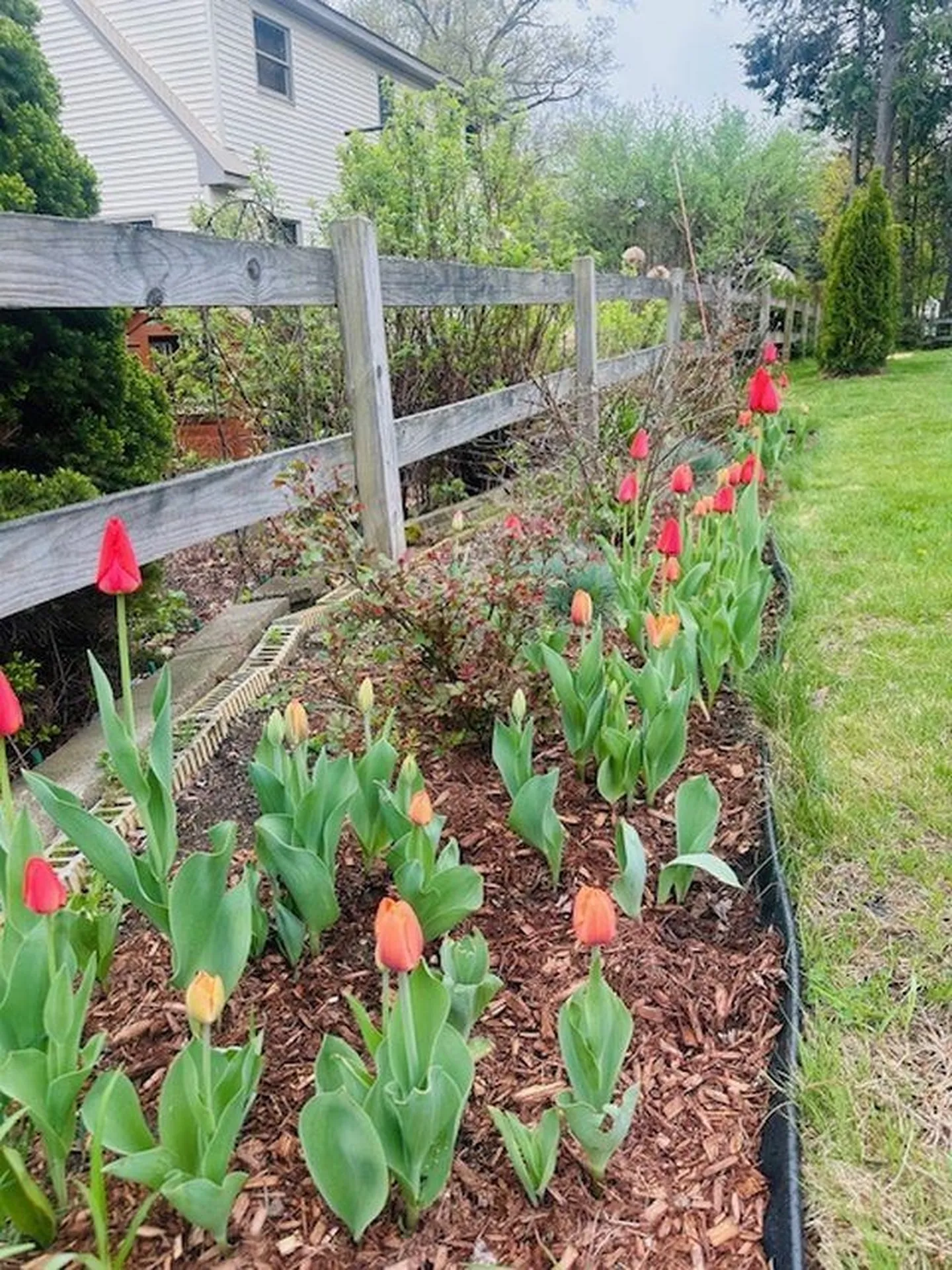 51 Parkside Avenue Brattleboro VT 05301