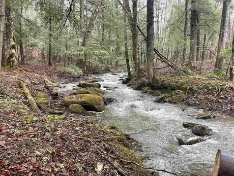 233 Brook Road Chelsea VT 05038