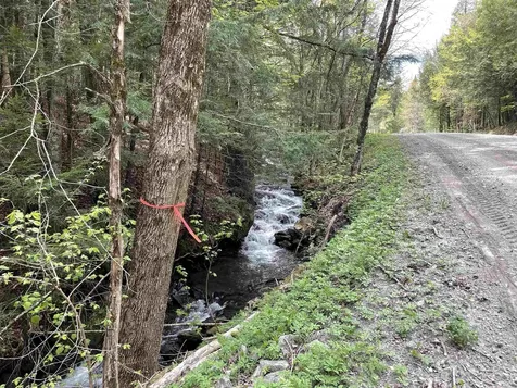 233 Brook Road Chelsea VT 05038