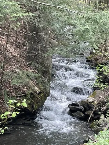 233 Brook Road Chelsea VT 05038