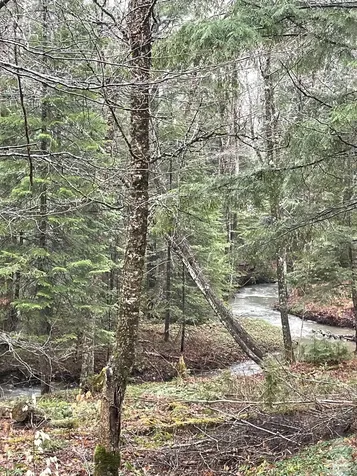 233 Brook Road Chelsea VT 05038