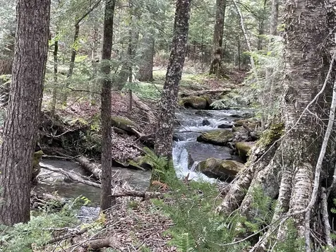 233 Brook Road Chelsea VT 05038