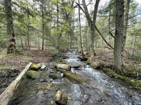 233 Brook Road Chelsea VT 05038