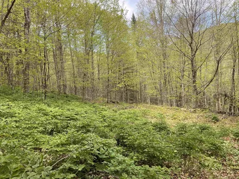 233 Brook Road Chelsea VT 05038