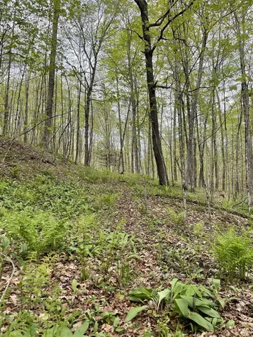 233 Brook Road Chelsea VT 05038