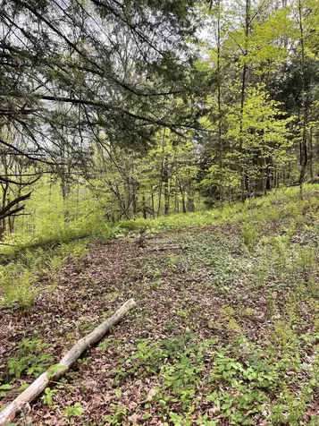 233 Brook Road Chelsea VT 05038