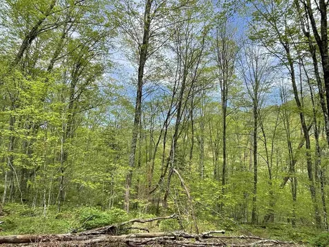 233 Brook Road Chelsea VT 05038
