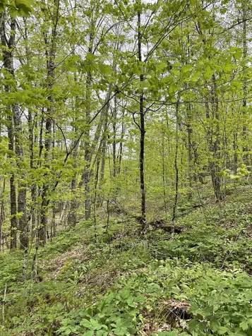233 Brook Road Chelsea VT 05038