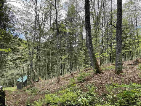 233 Brook Road Chelsea VT 05038