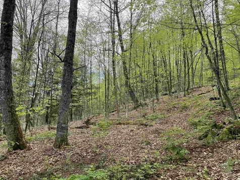 233 Brook Road Chelsea VT 05038