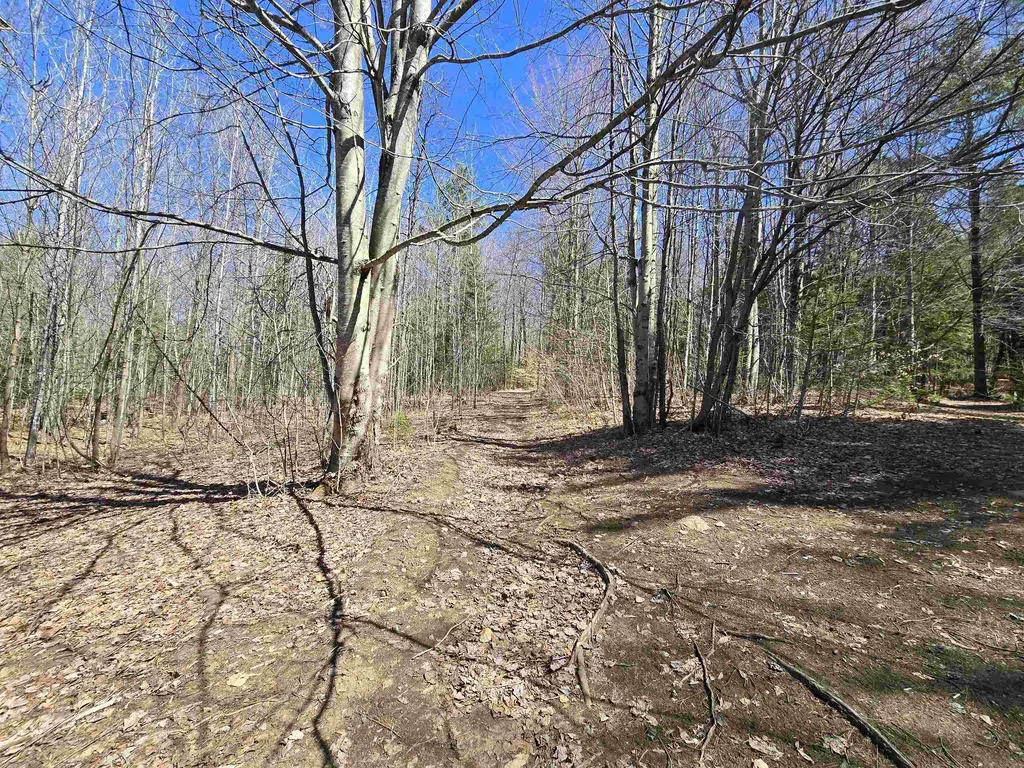 236 Mace Road Newbury VT 05051