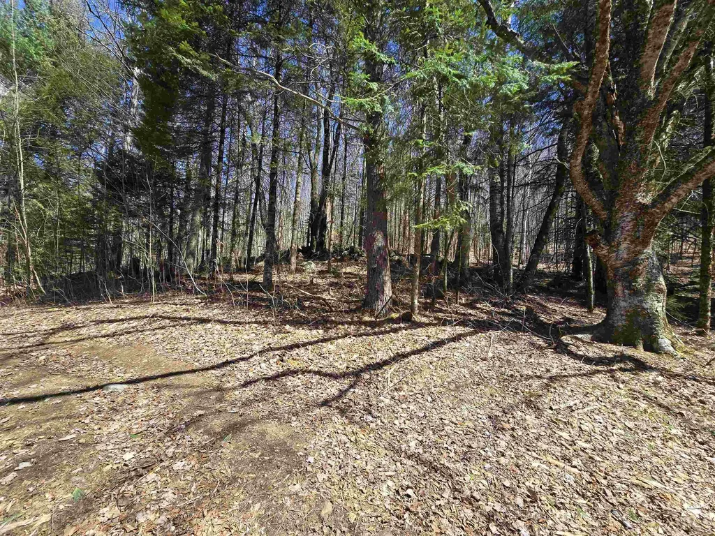 236 Mace Road Newbury VT 05051