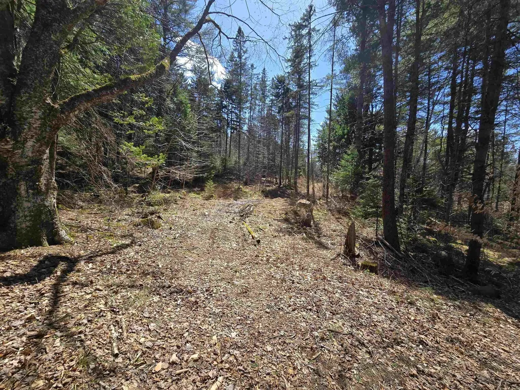 236 Mace Road Newbury VT 05051