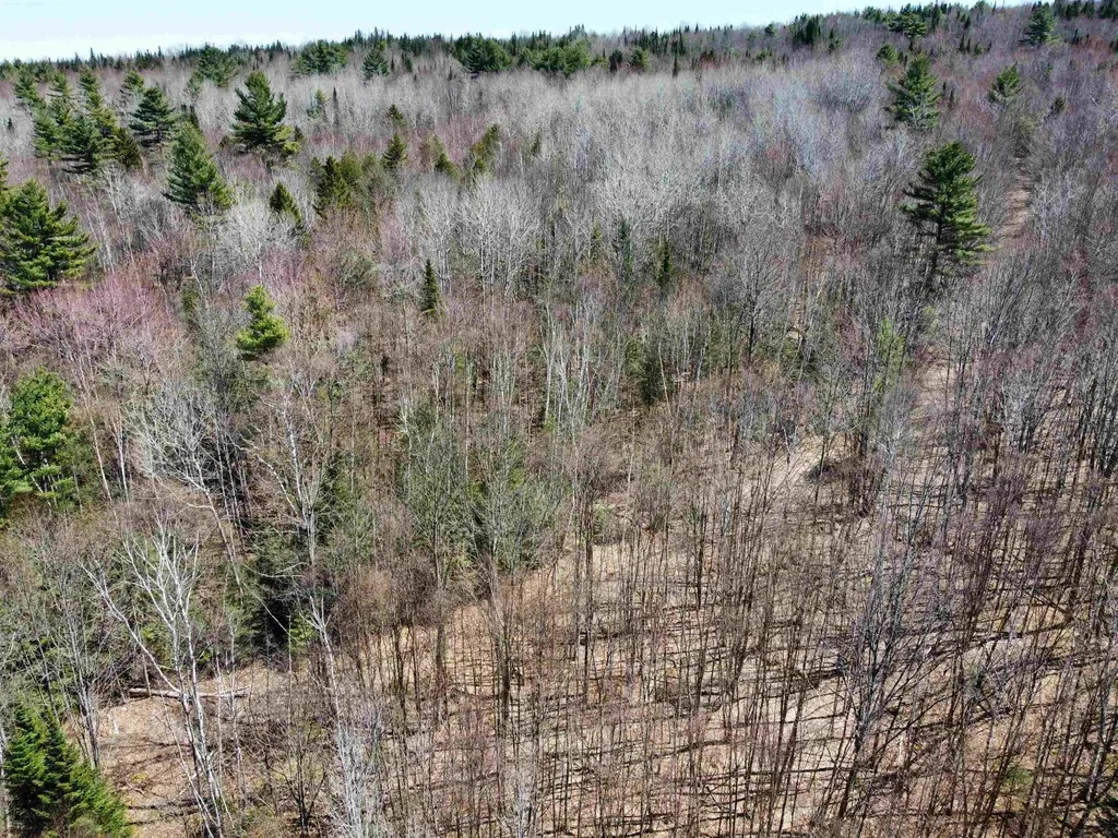 236 Mace Road Newbury VT 05051