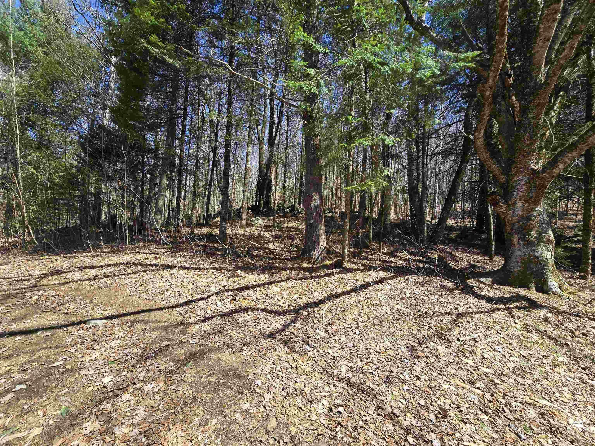 236 Mace Road Newbury VT 05051