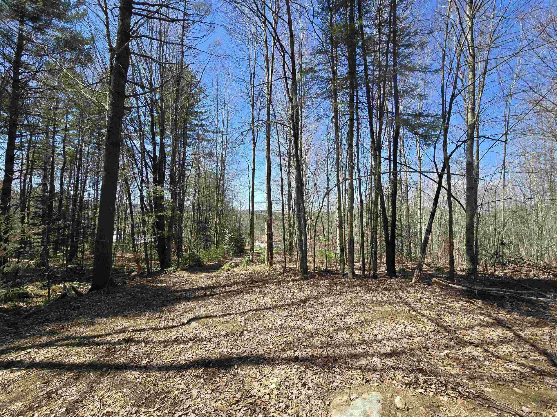 236 Mace Road Newbury VT 05051