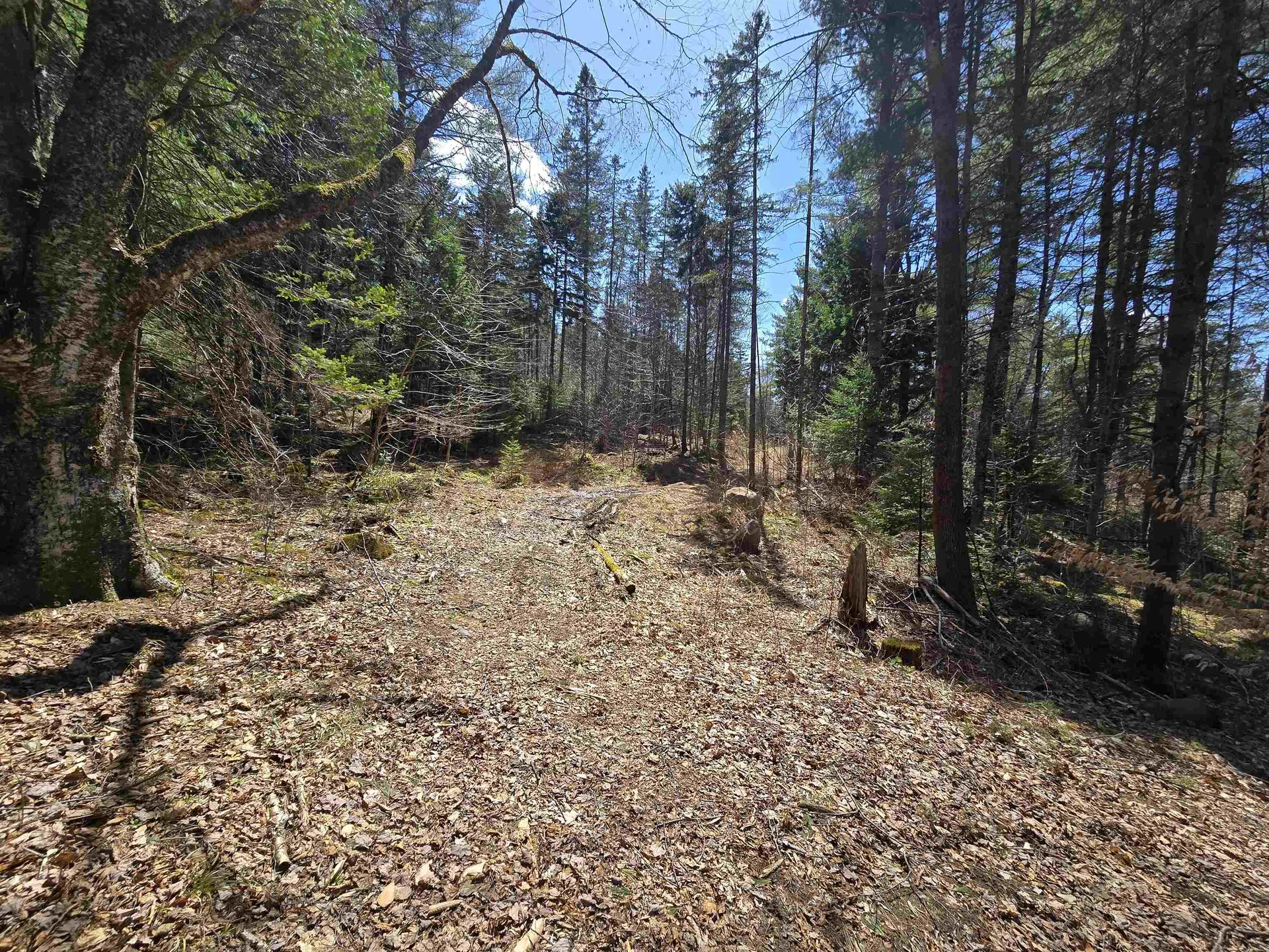 236 Mace Road Newbury VT 05051