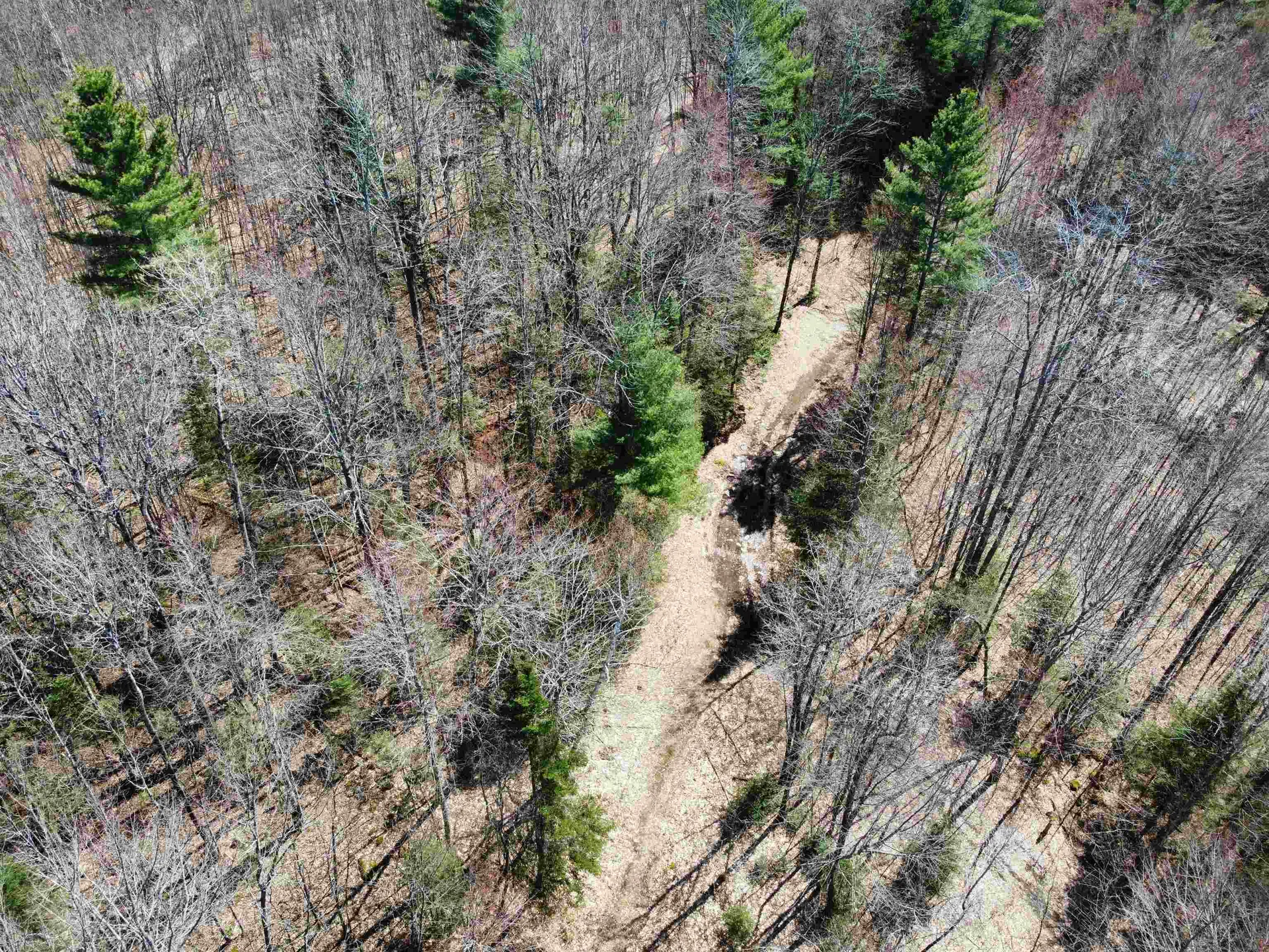 236 Mace Road Newbury VT 05051