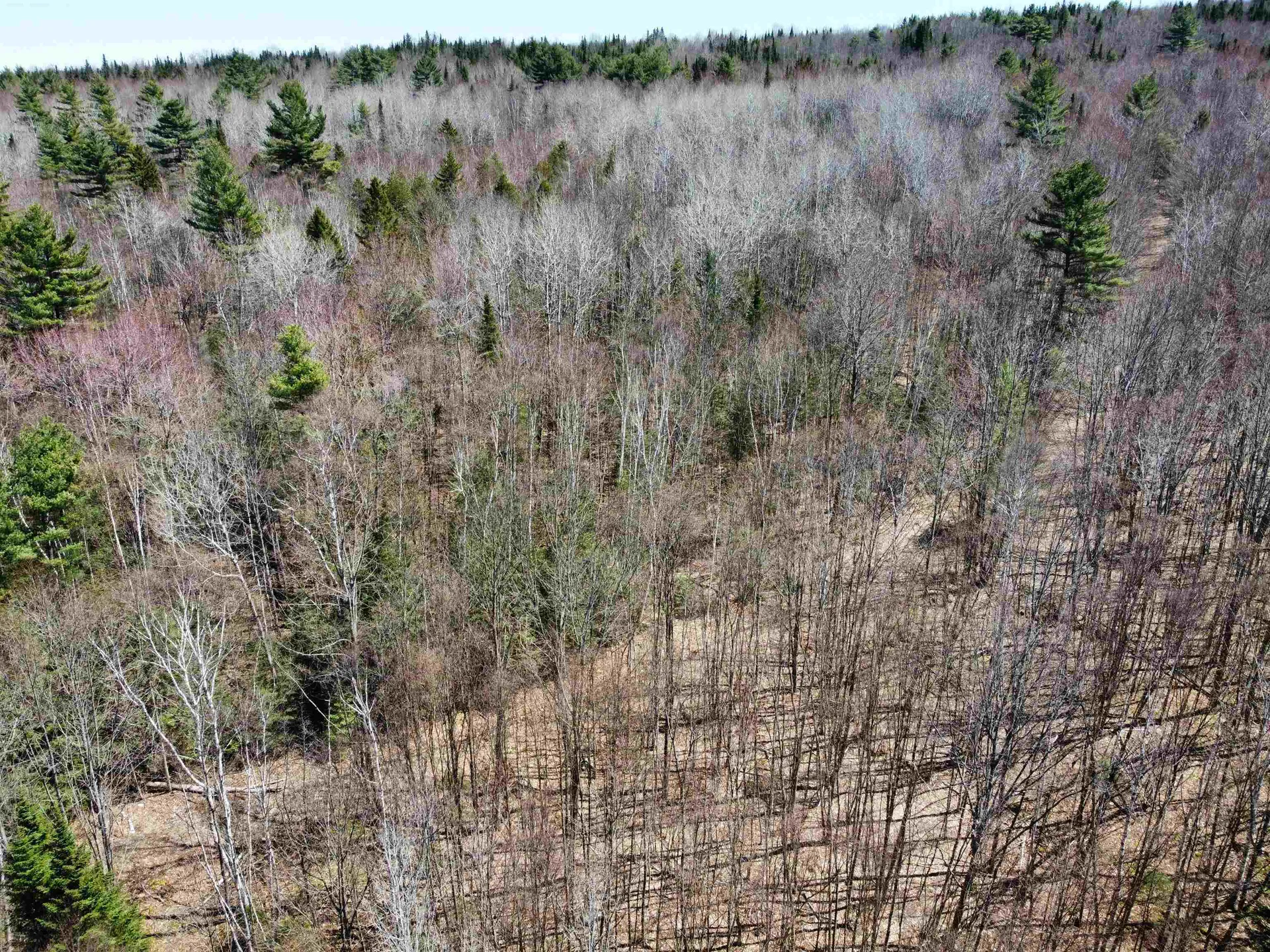 236 Mace Road Newbury VT 05051