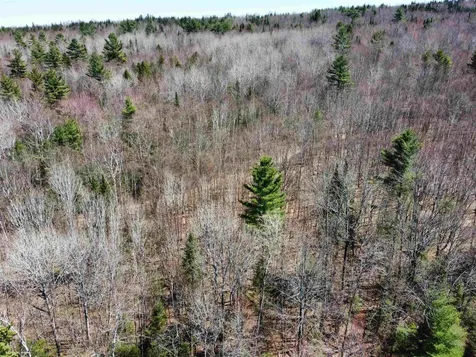 236 Mace Road Newbury VT 05051