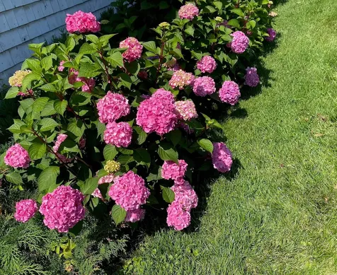 312 Lakewood Drive Swanton VT 05488