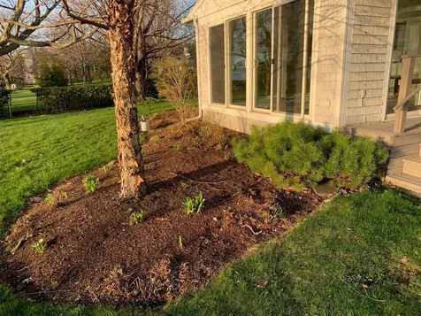 312 Lakewood Drive Swanton VT 05488