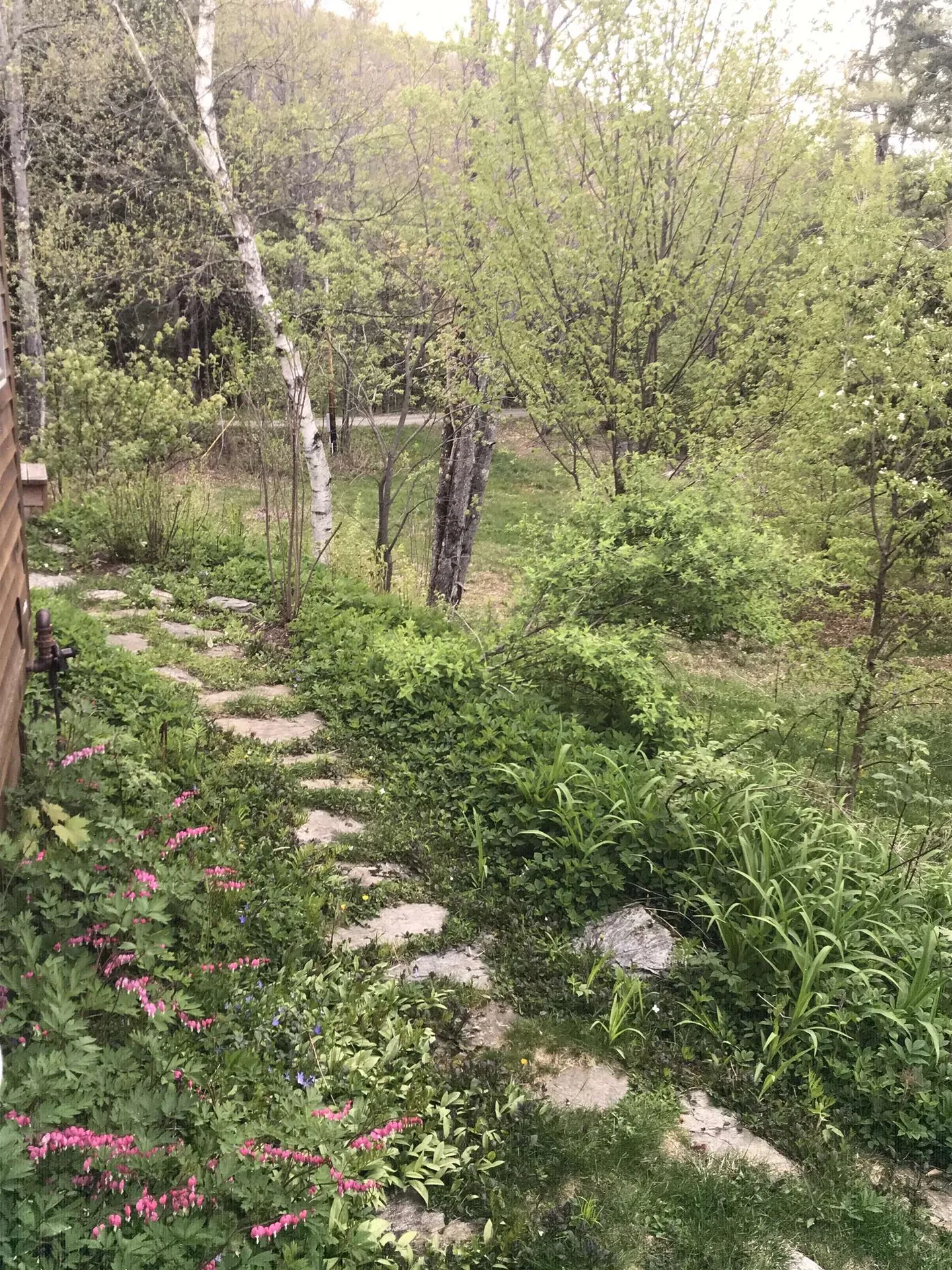 157 Mehuron Drive Waitsfield VT 05673