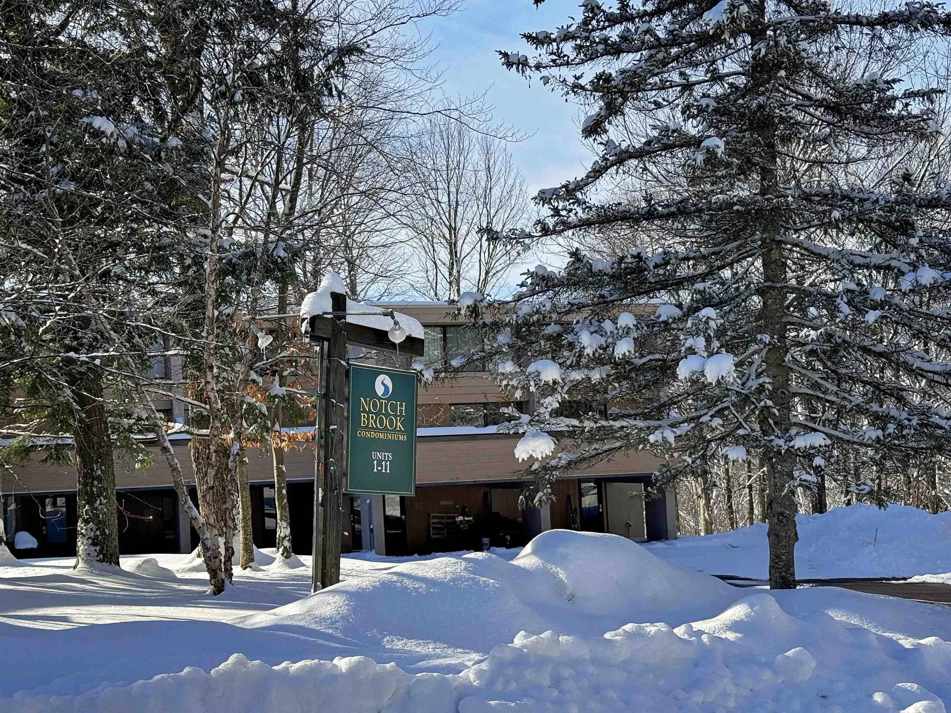 1307 Notchbrook Road Stowe VT 05672