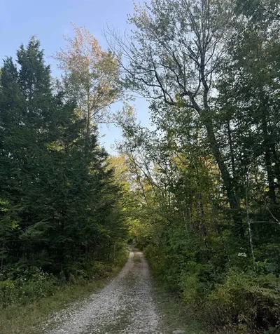 6 Horn Brook Road Middleton NH 03887