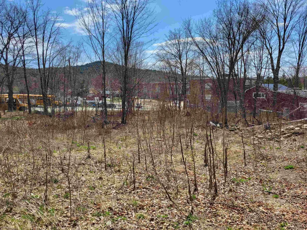 171 North Main Street Bristol NH 03222