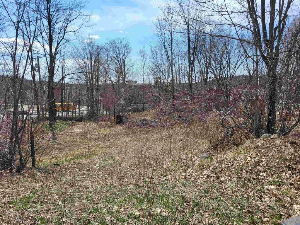 171 North Main Street Bristol NH 03222