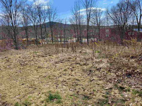 171 North Main Street Bristol NH 03222