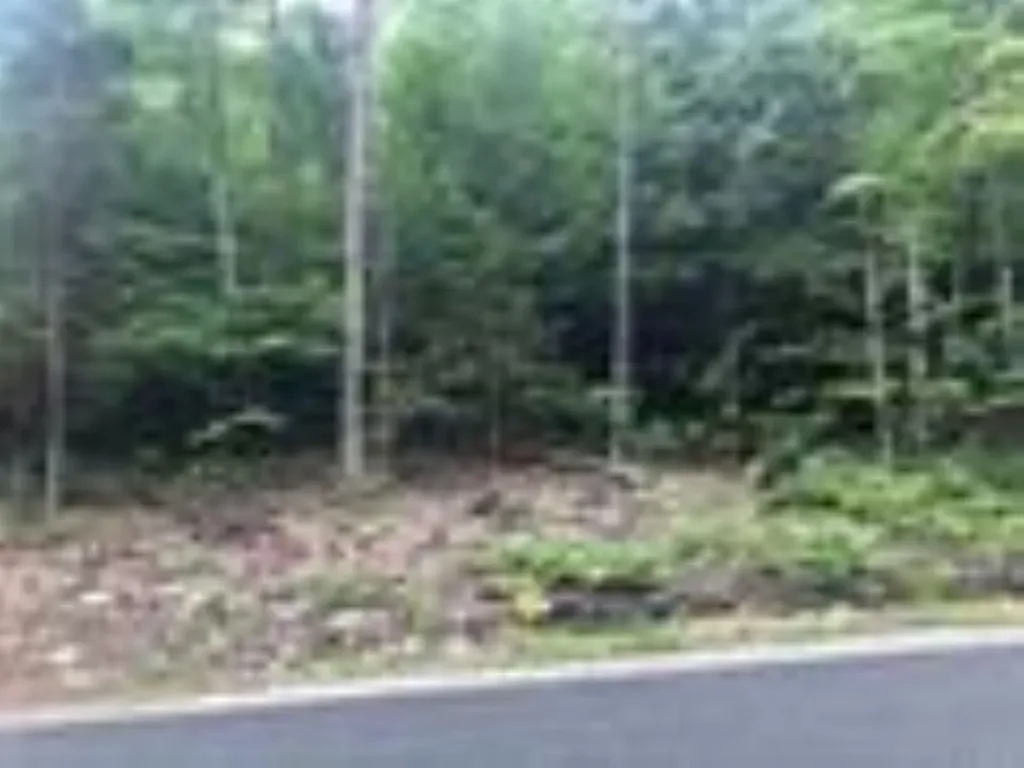 French Pond Road Haverhill NH 03785