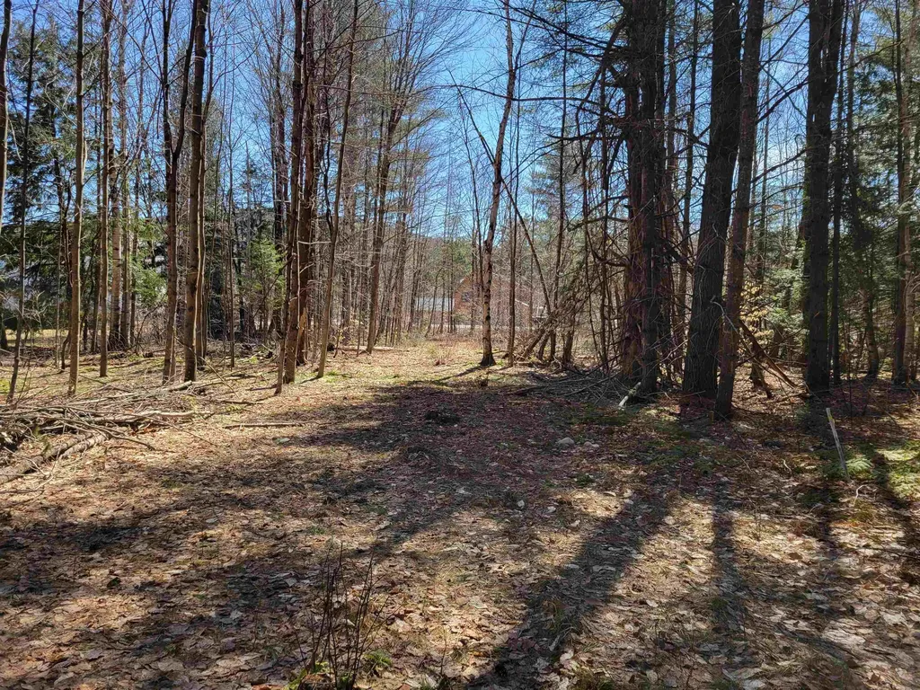 Map 105, Lot 20 Lost River Road Woodstock NH 03262