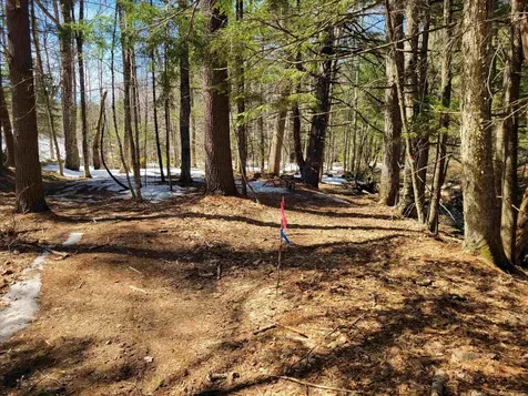 Map 105, Lot 20 Lost River Road Woodstock NH 03262