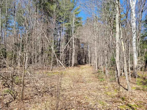 Map 105, Lot 20 Lost River Road Woodstock NH 03262