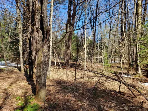 Map 105, Lot 20 Lost River Road Woodstock NH 03262