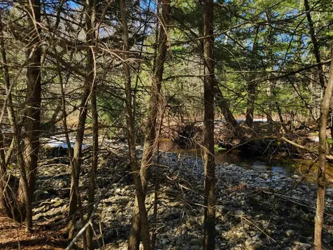 Map 105, Lot 20 Lost River Road Woodstock NH 03262
