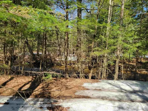 Map 105, Lot 20 Lost River Road Woodstock NH 03262