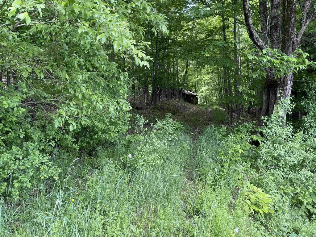 00 Bradley Hill Road Norwich VT 05055