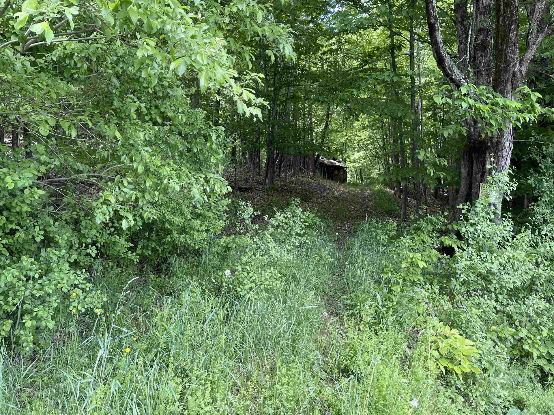 00 Bradley Hill Road Norwich VT 05055